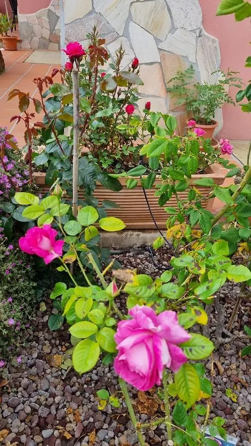 Su Forti La Casa Delle Rose 아파트