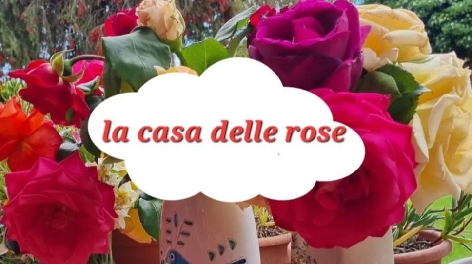 Su Forti La Casa Delle Rose 아파트